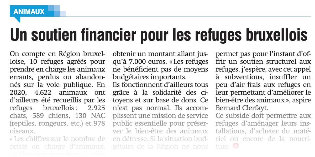 Un soutien financier pour les refuges bruxellois