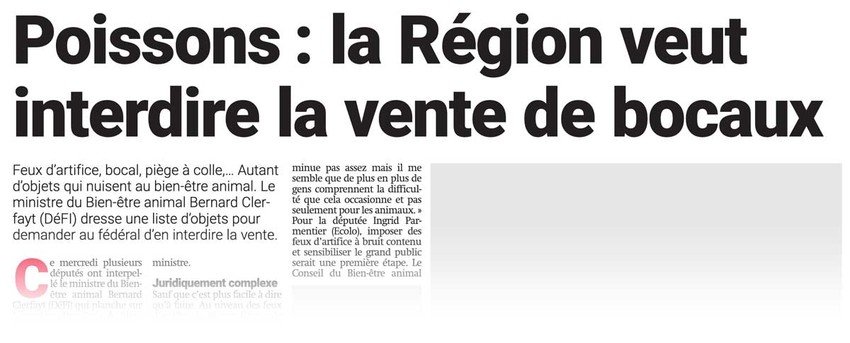Extrait de presse, La Capitale : «Poissons, la Région veut interndire la vente de bocaux».
