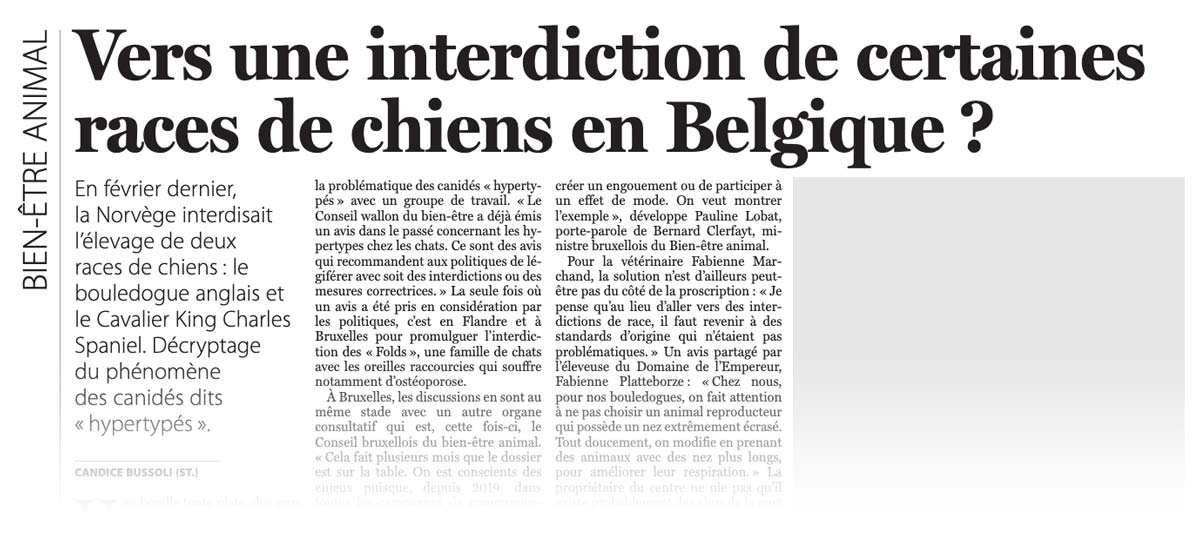Extrait de presse, quotidien Le Soir "Vers une interdiction de certaines races de chiens en Belgique?"