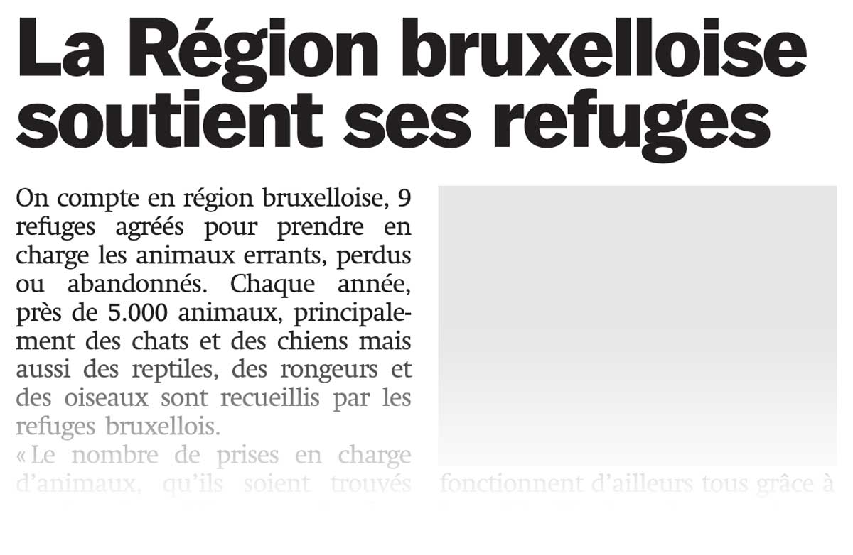 Extrait de presse, 7Dimanche : La Région bruxelloise soutient ses refuges
