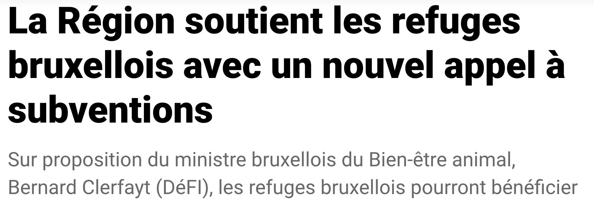 Extrait de presse, La Capitale : "La Région soutient les refuges bruxellois avec un nouvel appel à subventions"