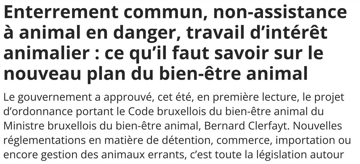 Extrait de presse, la DH : "Enterrement commun, non-assistance à animal en danger, travail d’intérêt animalier : ce qu’il faut savoir sur le nouveau plan du bien-être animal"