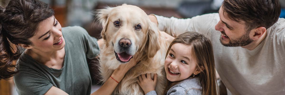 Gezin met hond: een huisdier kan een belangrijke plaats innemen in het gezin. Het welzijn van het dier is van fundamenteel belang.